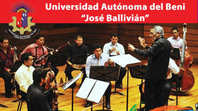 Psicopedagogía de la música en la educación superior y la formación artística musical